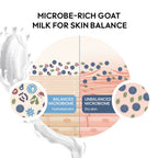 Blue Berry And Goat Milk Soap